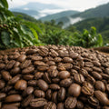 Barrel & Bloom Coffee Burundi coffee beans