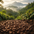 Barrel & Bloom Coffee Cameroon coffee beans