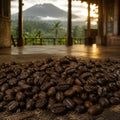 Barrel & Bloom Coffee Old Brown Java coffee beans