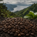 Barrel & Bloom Coffee Sumatra Lintong Toba coffee beans