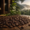 Fivefold coffee beans and ground coffee from Barrel & Bloom Coffee