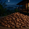 Night Shift coffee beans and ground coffee from Barrel & Bloom Coffee